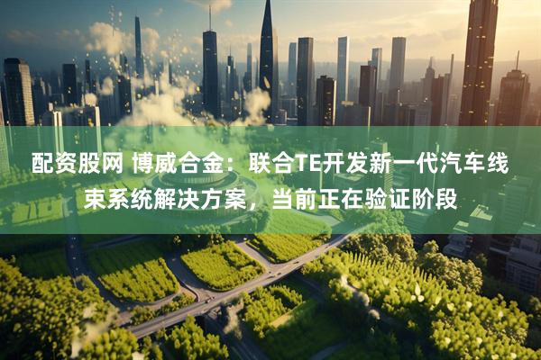 配资股网 博威合金：联合TE开发新一代汽车线束系统解决方案，当前正在验证阶段