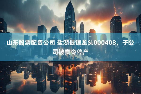 山东股票配资公司 盐湖提锂龙头000408，子公司被责令停产